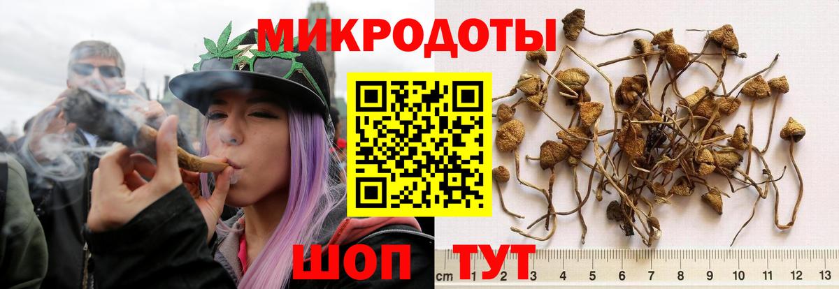 Галлюциногенные грибы ЛСД Краснодар